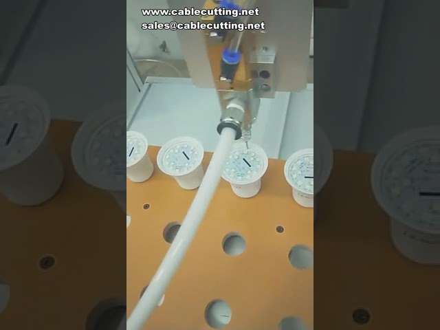 Automatic AB Epoxy Glue Filling Machine with Proportioning and Mixing