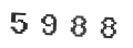 Verification Code Image